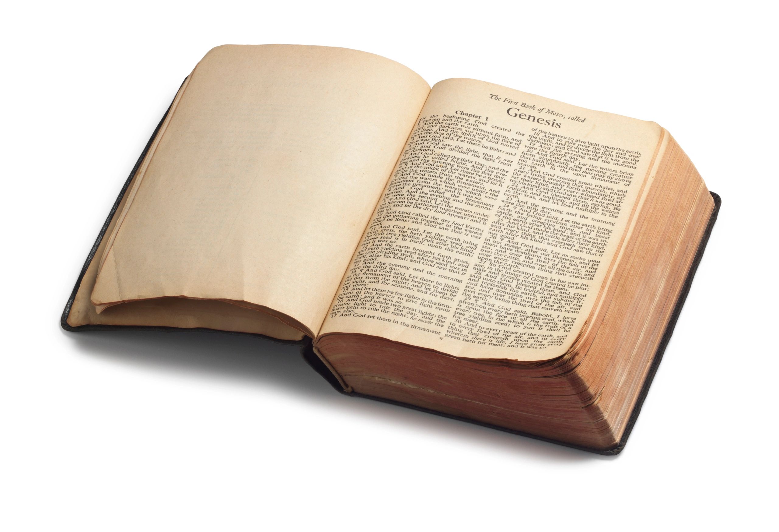 Open Bible displayed for study and reflection